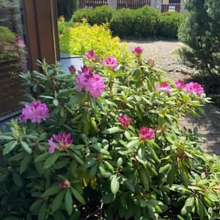 公寓 Cozy Garden Near Krakow - Free Parking Gaj (Lesser Poland)